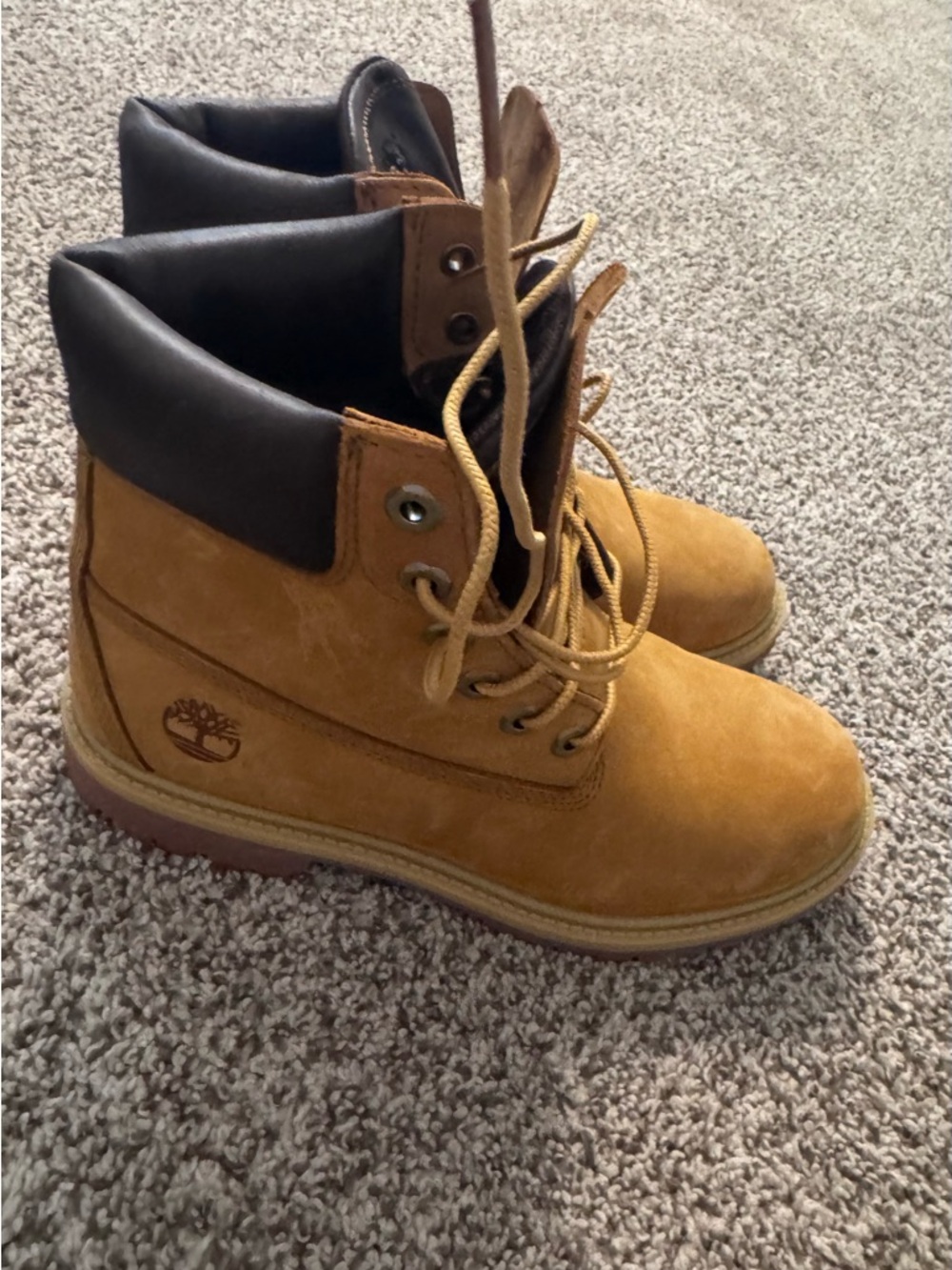 Timberland Wheat Nubuck Boots with Black Collar